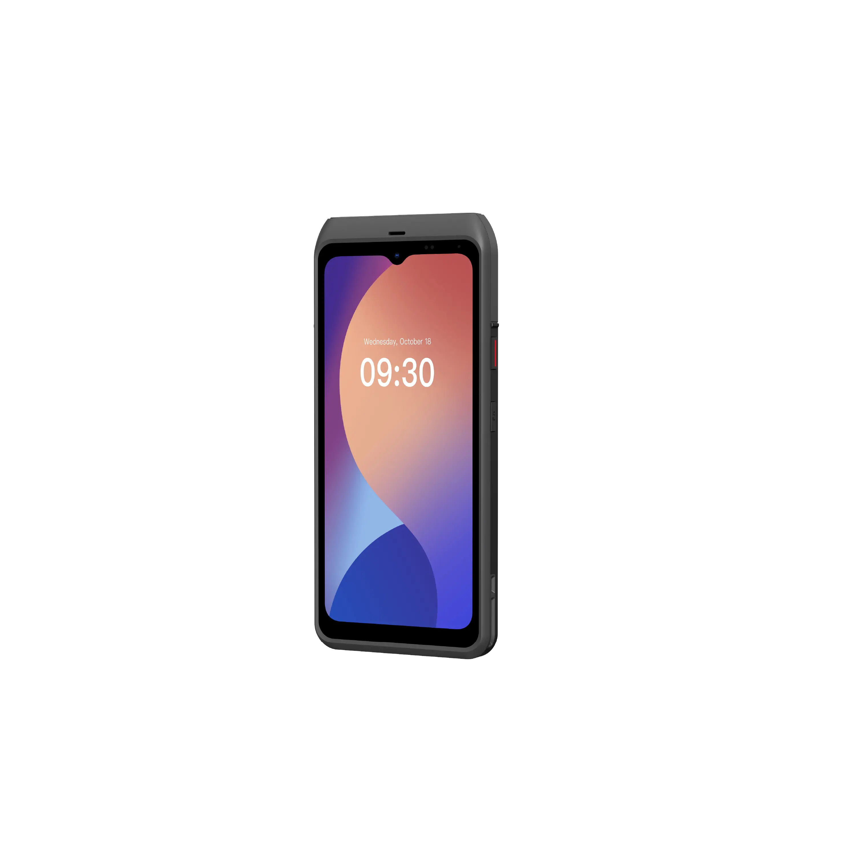 Lark POS terminal